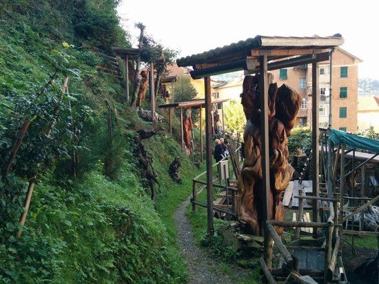 Il Giardino di Tugnin