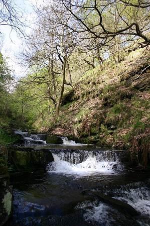 Gorpley Clough Local Nature Reserve