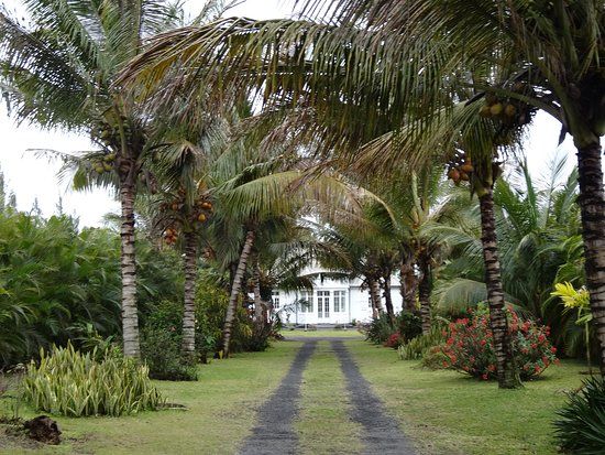 Jardin des 1001 saveurs