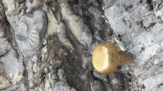 Sito Geologico Romanterra