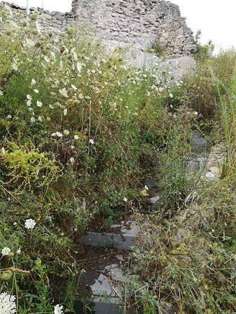 Castello Di Aiello Calabro