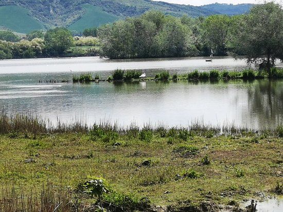 Oasi WWF Lago di Alviano