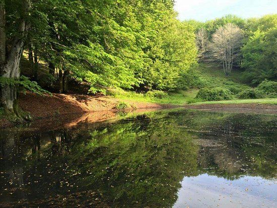 Foresta Regionale di Roccarainola