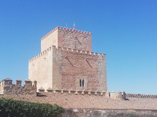 Castillo Alcázar de Enrique II