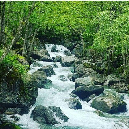 Parku Kombetar i Qafe Shtames