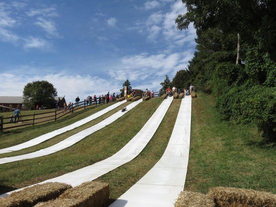 Weber's Cider Mill Farm