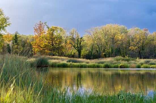 Biotopo delle Risorgive di Flambro