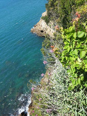 Ente Parco di Montemarcello-Magra