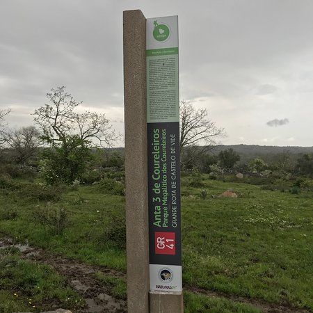 Anta dos Coureleiros III