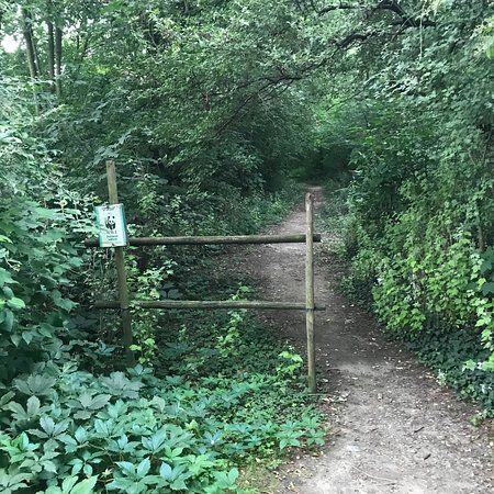 Oasi Bosco di Montorfano