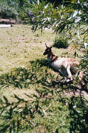 Warrawong Wildlife Sanctuary