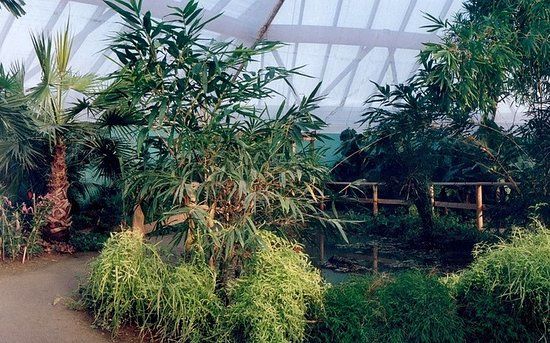 Idea DschungelParadies Neuenmarkt