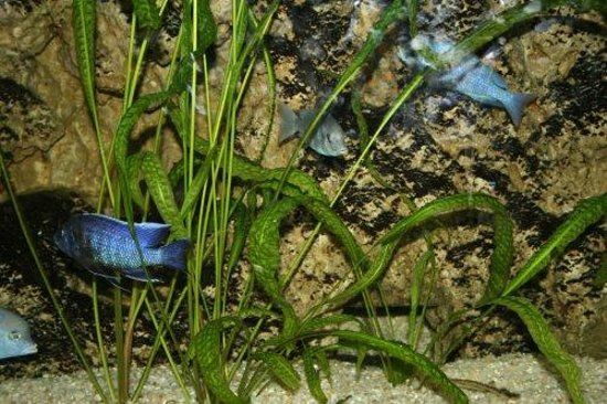 Ankara Hayvanat Bahcesi