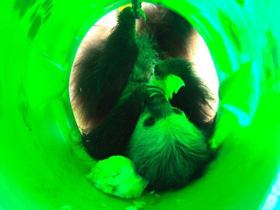 Centro de Rescate Guayabillas