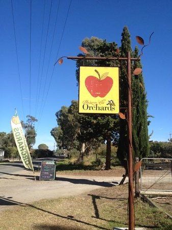 Mclaren Vale Orchards