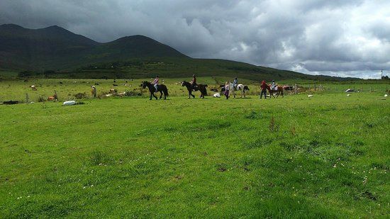 Kissane's Pony Rides