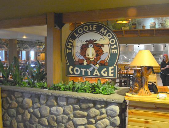 Loose Moose Cottage