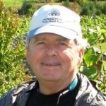 Redberry Frozen Yogurt