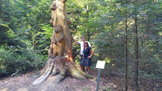 Arboretum Exotenwald