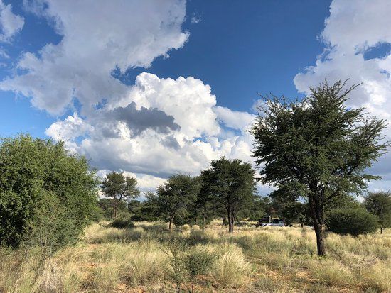 Molopo Nature Reserve