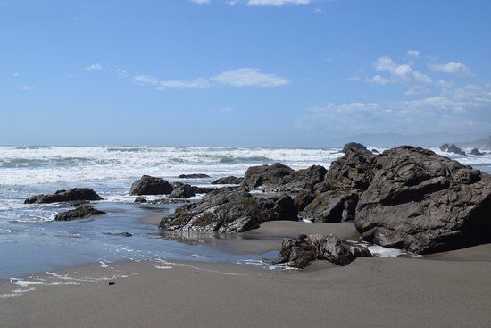 Sonoma Coast State Beach