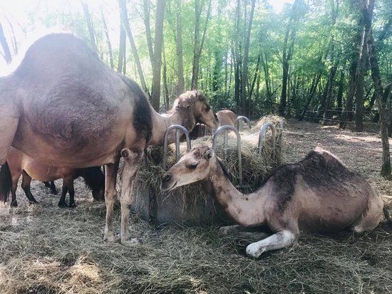 Lacs du Moulin Blanc