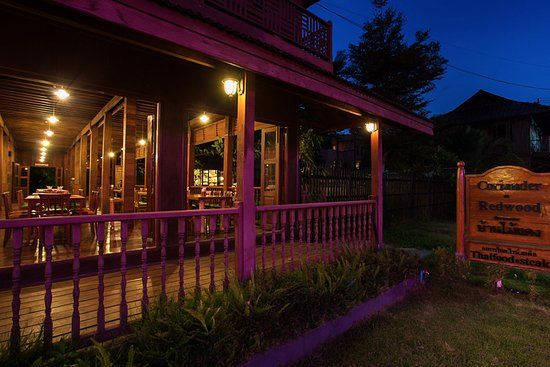 Coriander in Redwood