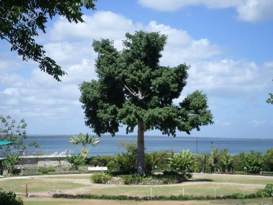 La Casa de Don David