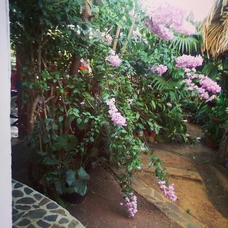 Restaurante Hermanos Pineda