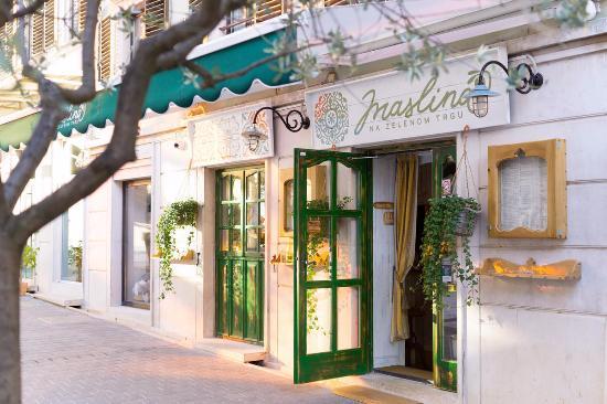 Maslina na Zelenom trgu