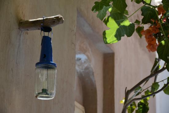 A l'ombre du figuier