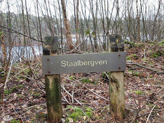 Staalbergven