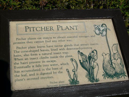 Mowry Beach Preserve