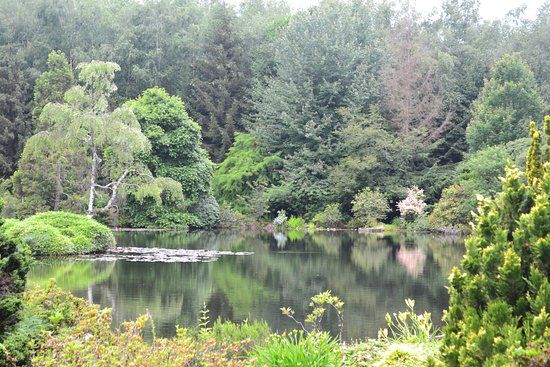 Jardin Botanique de Gondremer