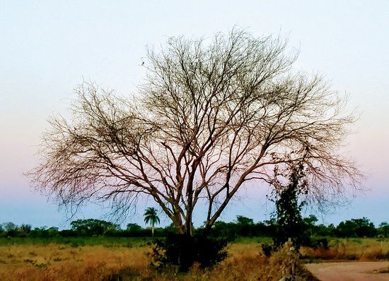 Mirante da Serra da Torre