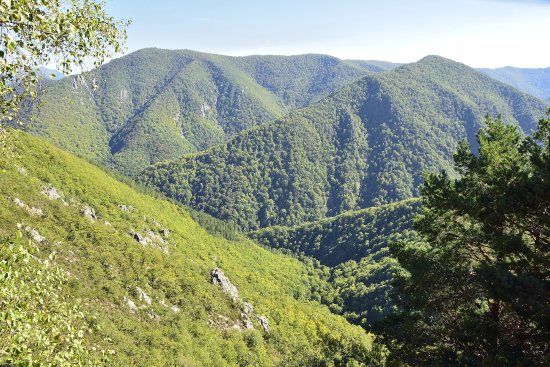 Mirador de Muniellos