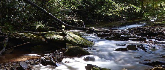 Fernow Experimental Forest