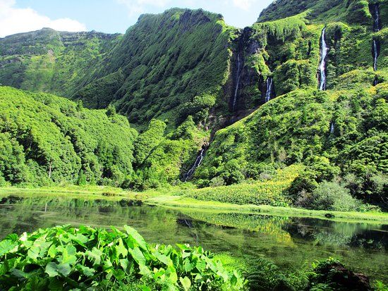 Poco da Ribeira do Ferreiro