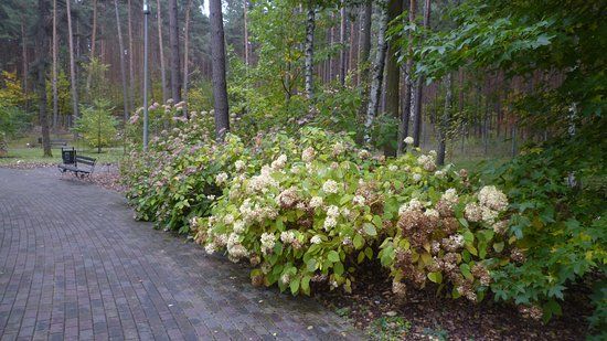 Ogród Botaniczny Uniwersytetu Zielonogórskiego