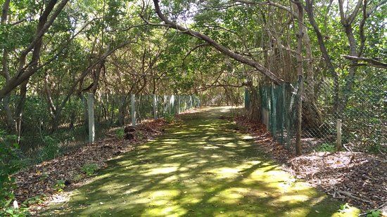 Jaltun Parque Ecoturistico