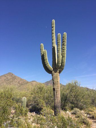 Phoenix Sonoran Desert Preserve