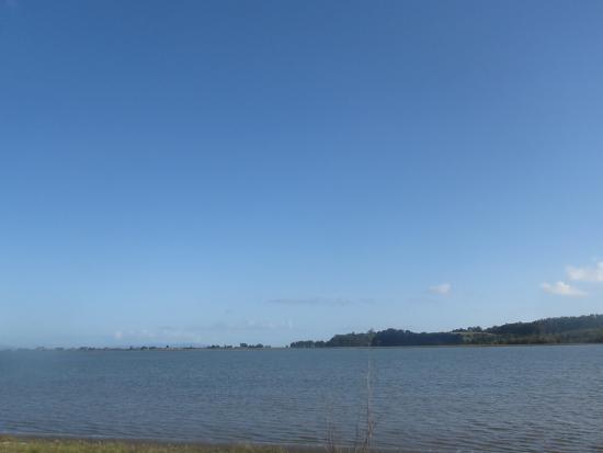 Bolinas Lagoon