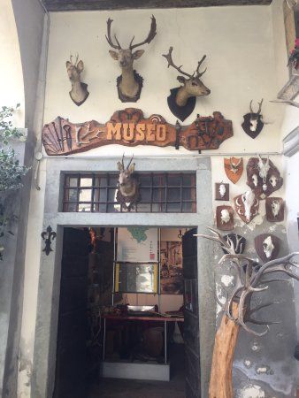 Museo del bosco e della montagna