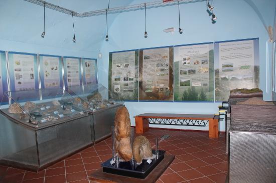 Museo Antonio Collisani