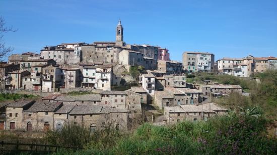 Parco Comunale dei Castagneti