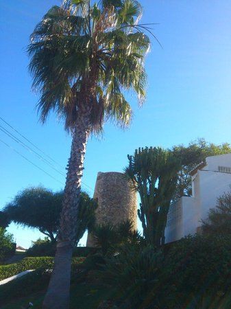 Torre Vigia Arroyo Vaquero