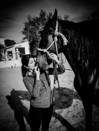 Centro De Equitacion Artequus