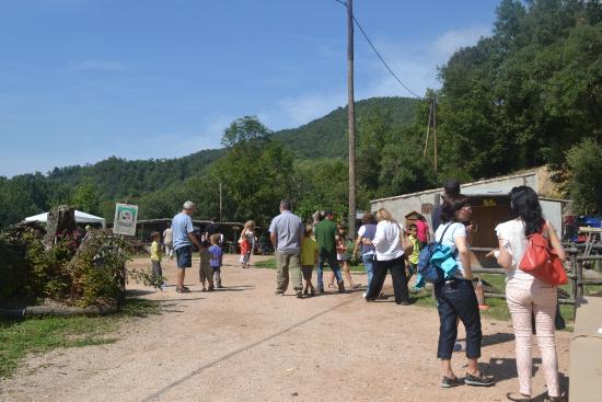 Castanya de Viladrau