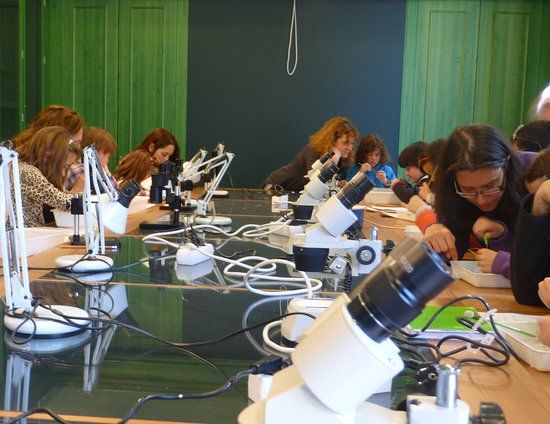 Museo de Ciencias Naturales de Granollers