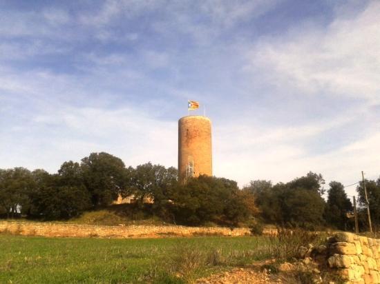 Torre de la Manresana